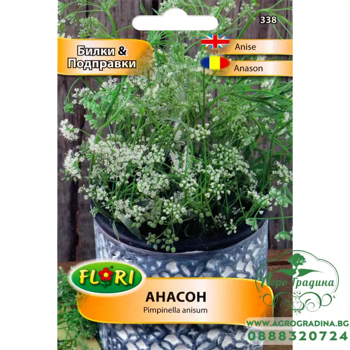 Анасон Pimpinella anisum