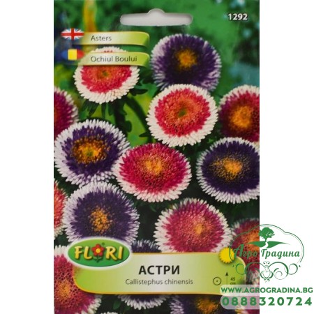 Астри Двуцветни