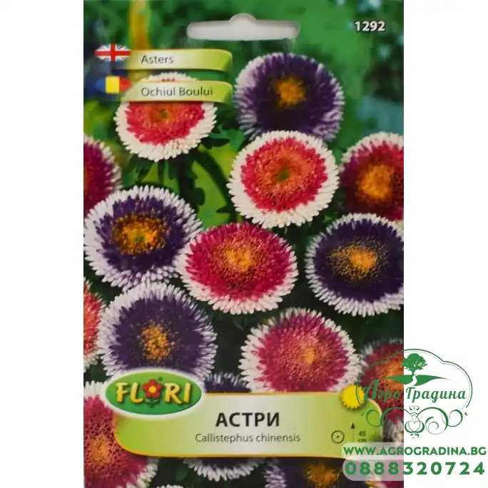 Астри Двуцветни