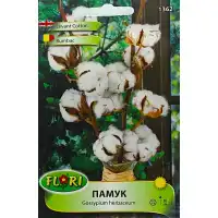 Бял памук Gossypium herbaceum