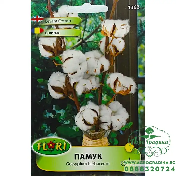 Бял памук Gossypium herbaceum