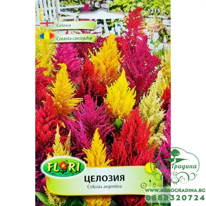 Целозия микс