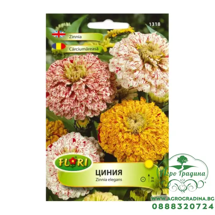 Циния Пеперминт стик Zinnia elegans