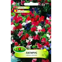 Декоративен грах, Латирус нисък