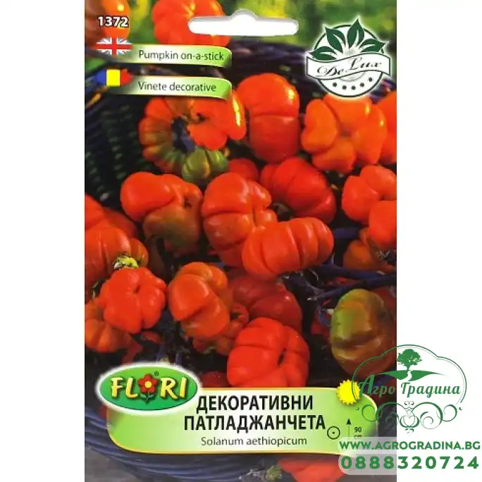 Декоративни патладжанчета