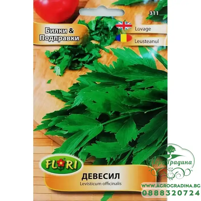 Девесил Levisticum officinale Девесил Levisticum officinale