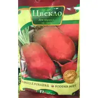 Кръмно цвекло