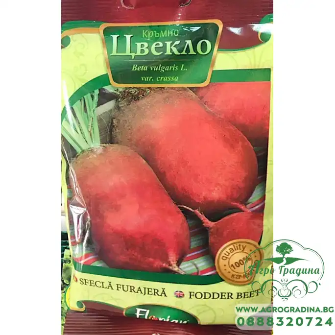 Кръмно цвекло