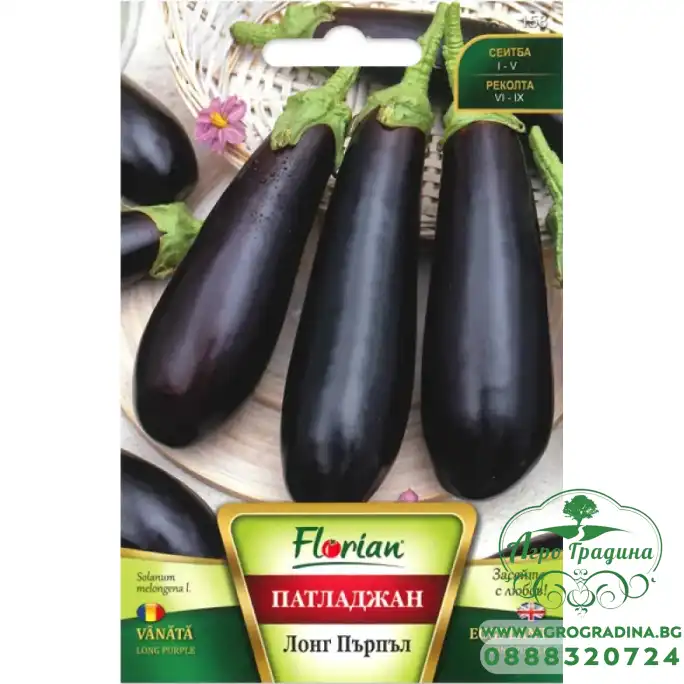 Патладжан Лонг Пърпъл