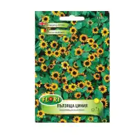 Пълзяща Циния Sanvitalia procumbens