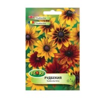 Рудбекия / Rudbeckia hirta