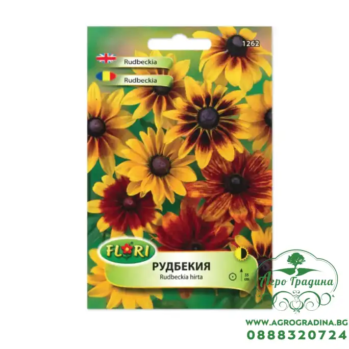 Рудбекия Rudbeckia hirta