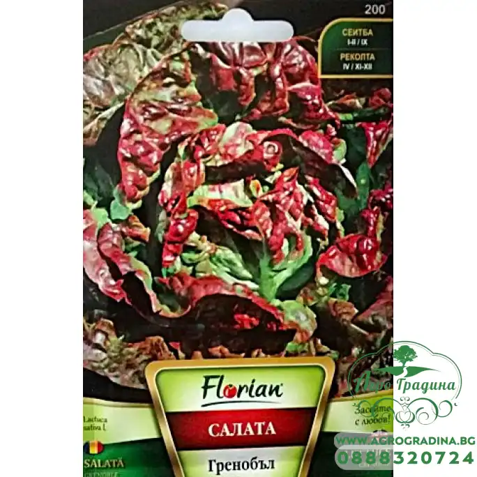 Салата Гренобъл