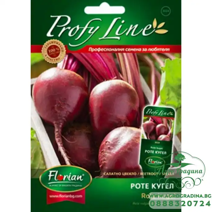 Салатно цвекло Роте Кугел