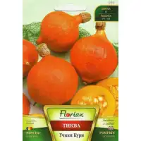 Тиква Учики Кури