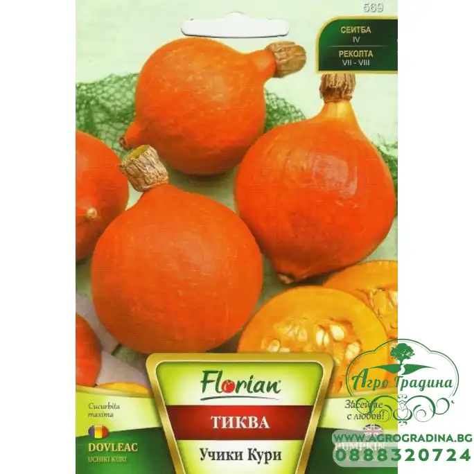 Тиква Учики Кури Тиква Учики Кури