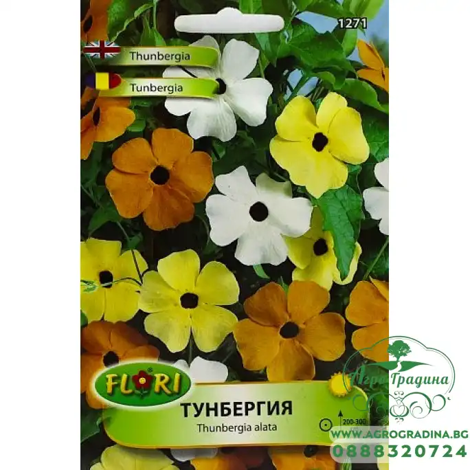 Тунбергия микс