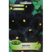 Виола черна