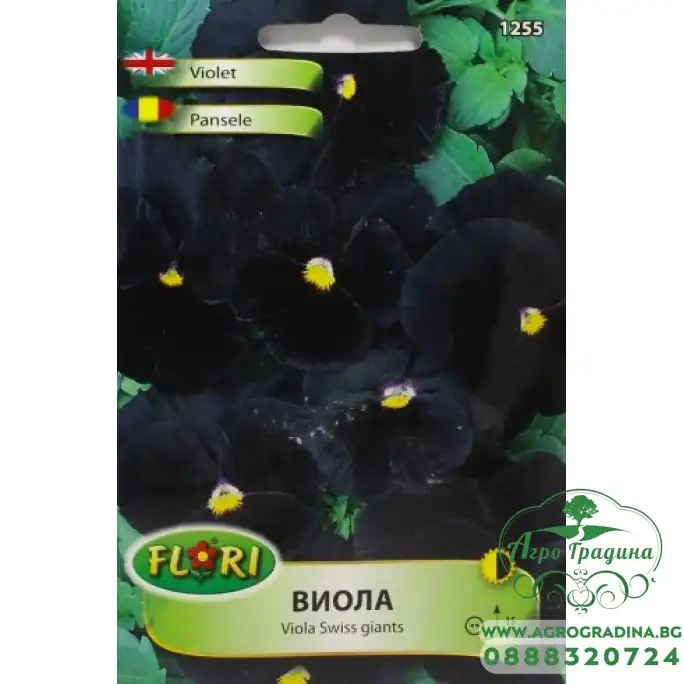 Виола черна Виола черна