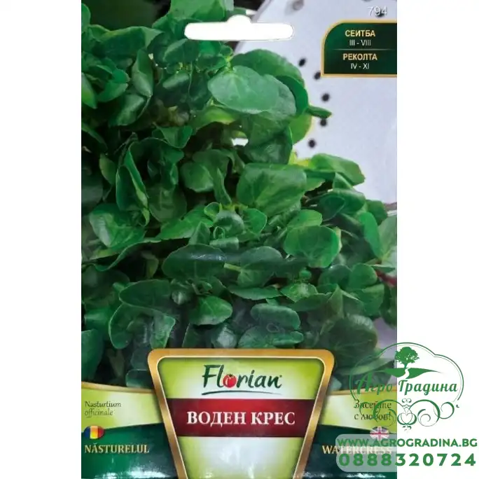 Воден крес Nasturtium officinale Воден крес Nasturtium officinale