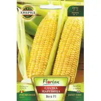 Царевица сладка Вега F1