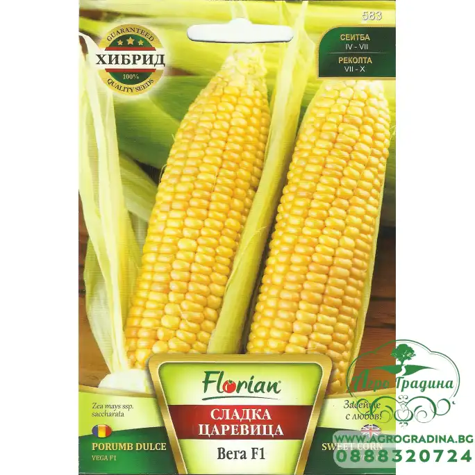Царевица сладка Вега F1