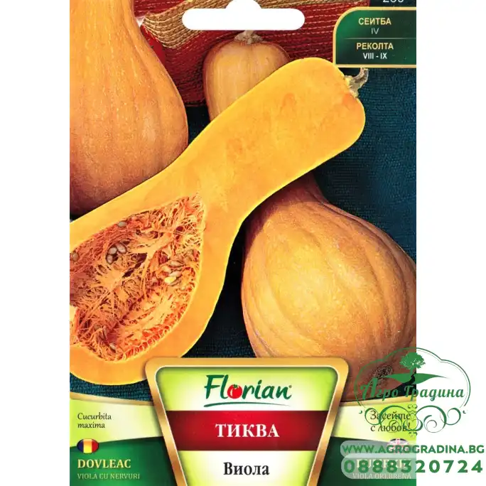 Тиква Виола Оребрена Тиква Виола Оребрена