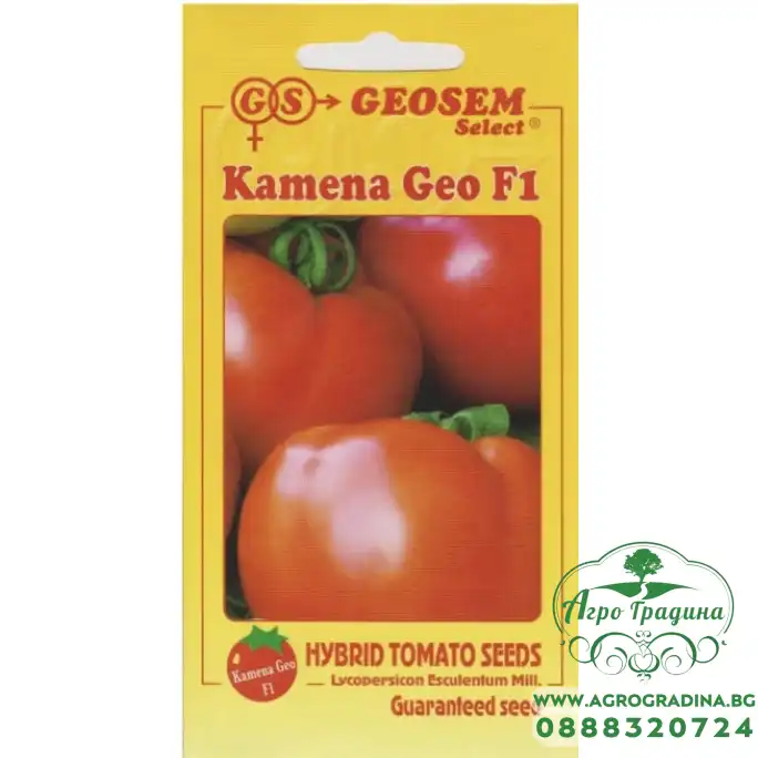 Домати Камена Гео F1 Домати Камена Гео F1
