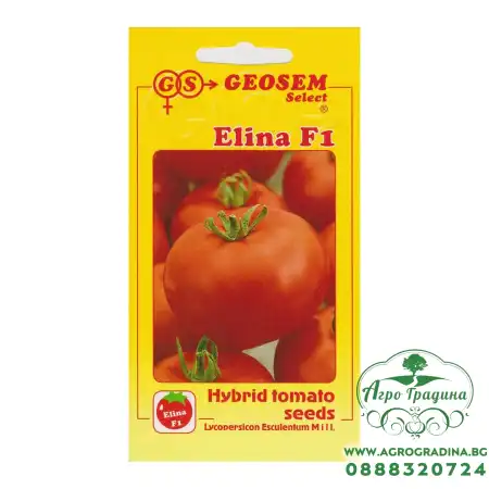 Домати Елина F1