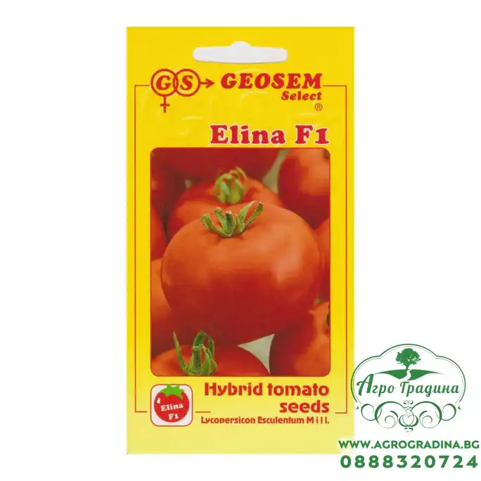 Домати Елина F1 Домати Елина F1