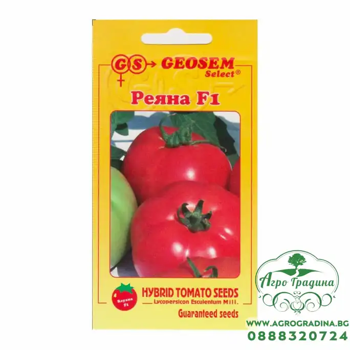 Домати Реяна F1