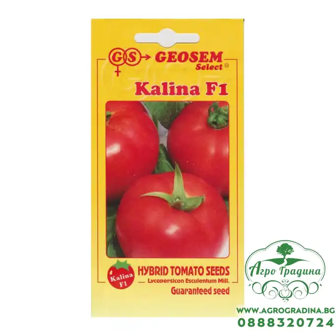 Домати Калина F1 Домати Калина F1