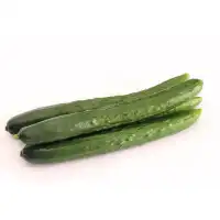 Краставици Хирошима F1