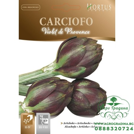 Артишок Виолет Де Прованс / Violet de Provence
