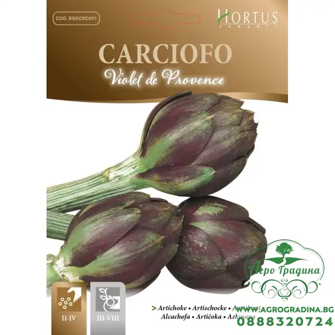 Артишок Виолет Де Прованс Violet de Provence