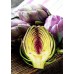 Артишок Виолет Де Прованс Violet de Provence