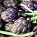 Артишок Виолет Де Прованс Violet de Provence
