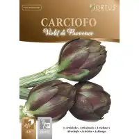 Артишок Виолет Де Прованс Violet de Provence