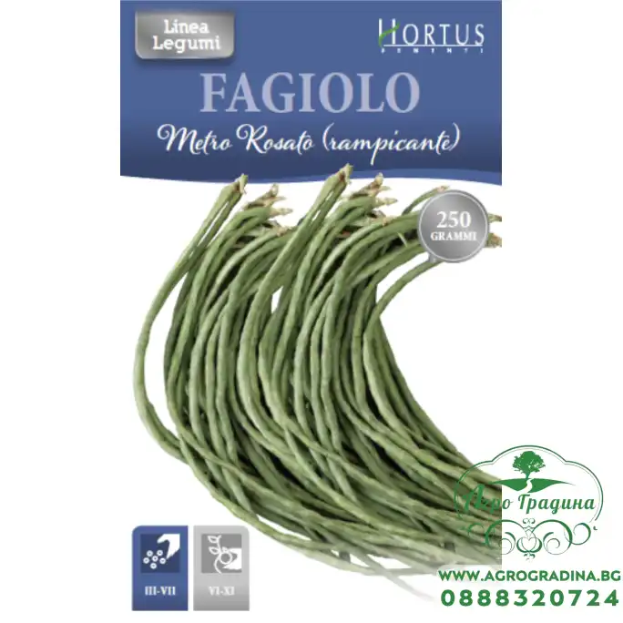 Фасул на метър (Увивен) тип Аспержов фасул Fagiolo metro rosato