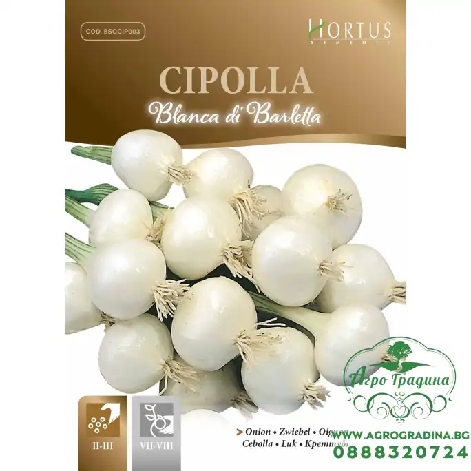Бял лук Барлета Cipolla blanca di Barletta Бял лук Барлета Cipolla blanca di Barletta