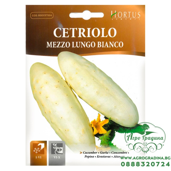 Бяла краставица Mezzo Lungo Bianco Бяла краставица Mezzo Lungo Bianco