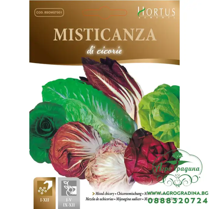 Цикория микс Цикория микс