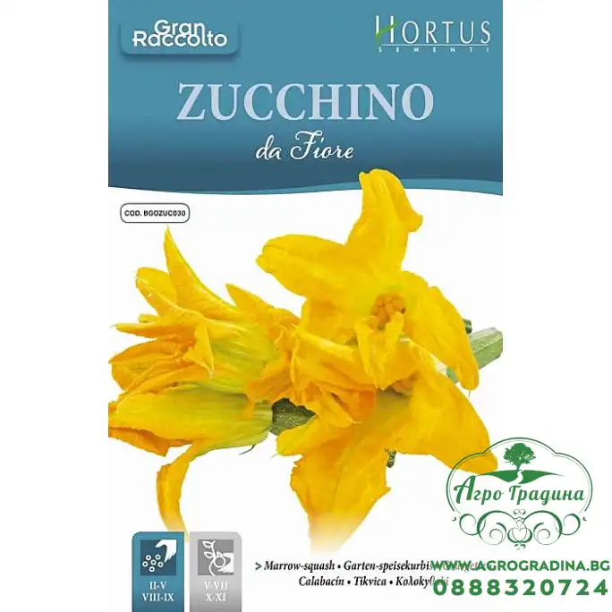 Цветове от Тиквичка Zucchino da Fiore