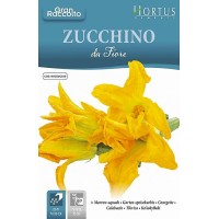 Цветове от Тиквичка Zucchino da Fiore