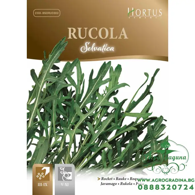 Дива Рукола Rucola Selvatica Дива Рукола Rucola Selvatica