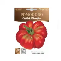 Домат Костолуто Фиорентино Costoluto Fiorentino