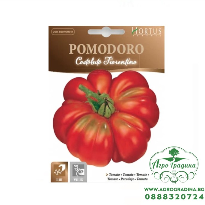 Домат Костолуто Фиорентино Costoluto Fiorentino Домат Костолуто Фиорентино Costoluto Fiorentino
