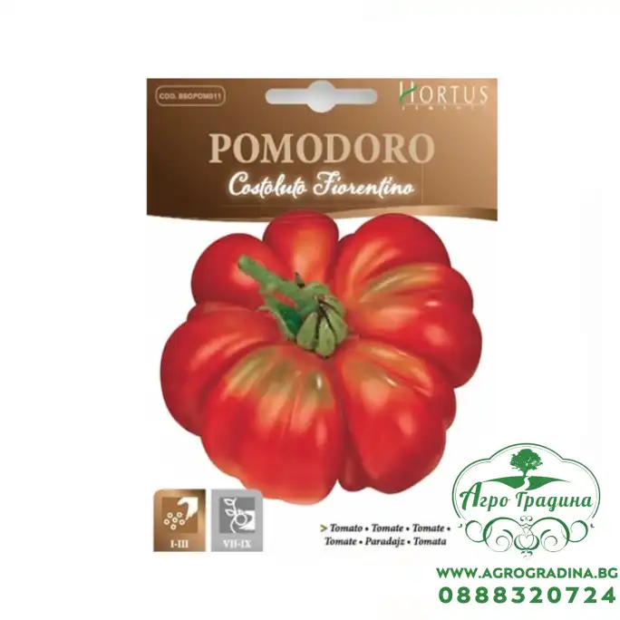 Домат Костолуто Фиорентино Costoluto Fiorentino