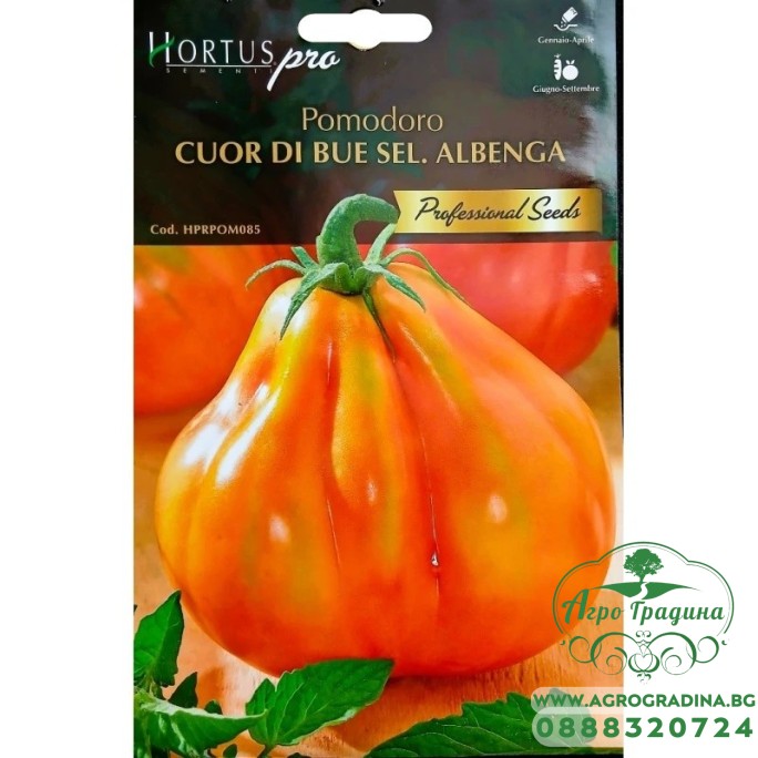 Домати Волско сърце – селекция Албенга (Cuor di Bue Sel. Albenga) Домати Волско сърце – селекция Албенга (Cuor di Bue Sel. Albenga)
