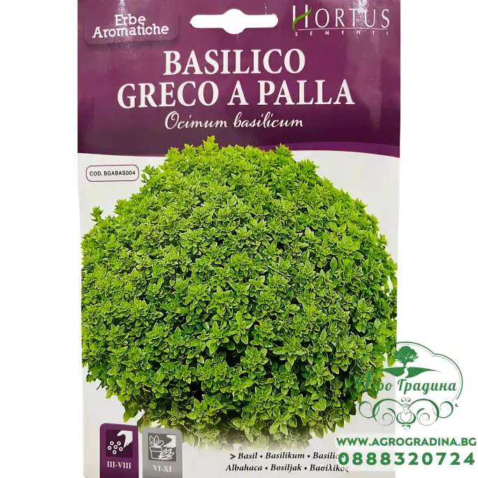 Босилек Гръцки мини Greco a palla